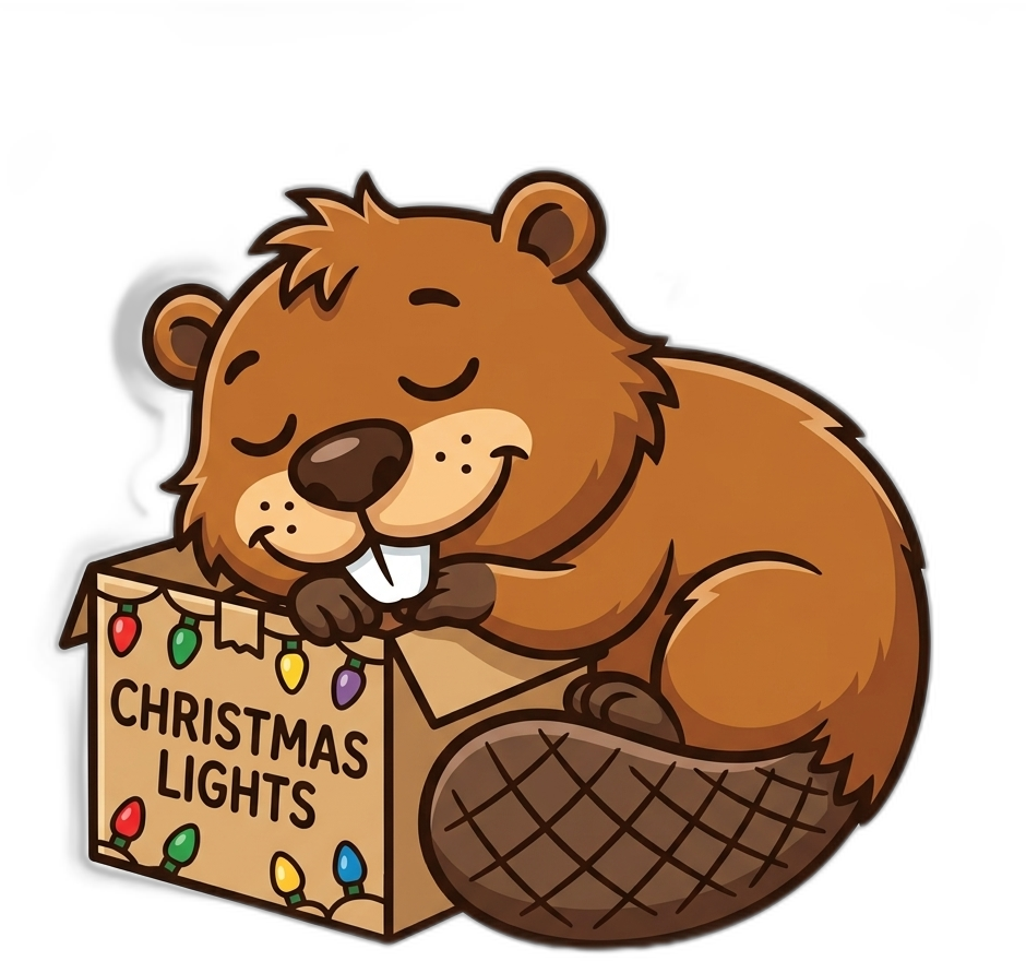 Beaver sleeping peacefully next to Christmas lights box
